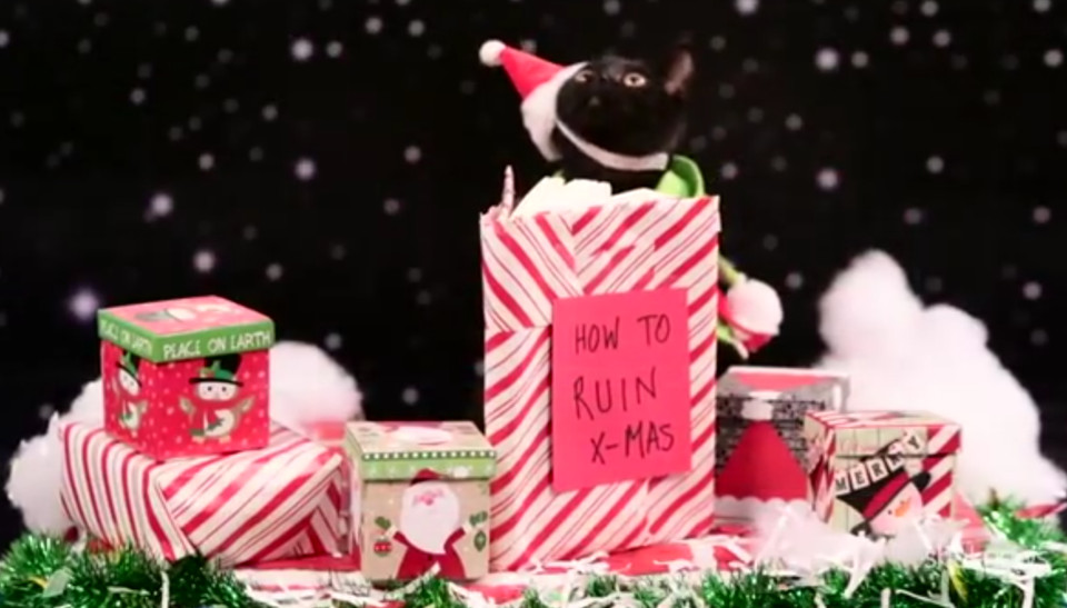 Grinch Kitten Pets Reenact Christmas Films